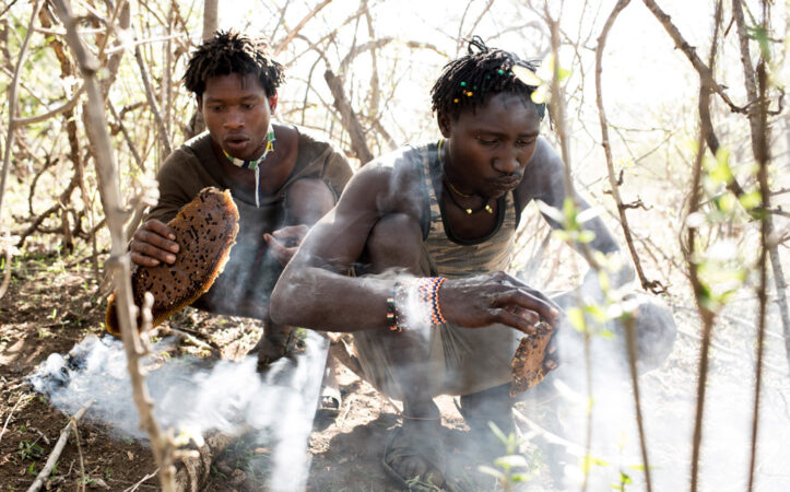 Hadza smoking bees