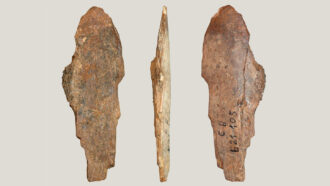 an ancient hide scraping tool shown at three different angles