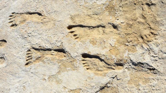 rock with fossilized human footprints