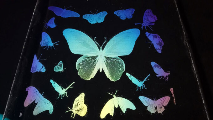 images of butterflies created with transparent ink