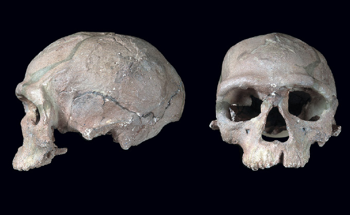 front and side view of skull discovered at Jebel Irhoud