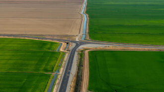 an aerial photo of rice fields