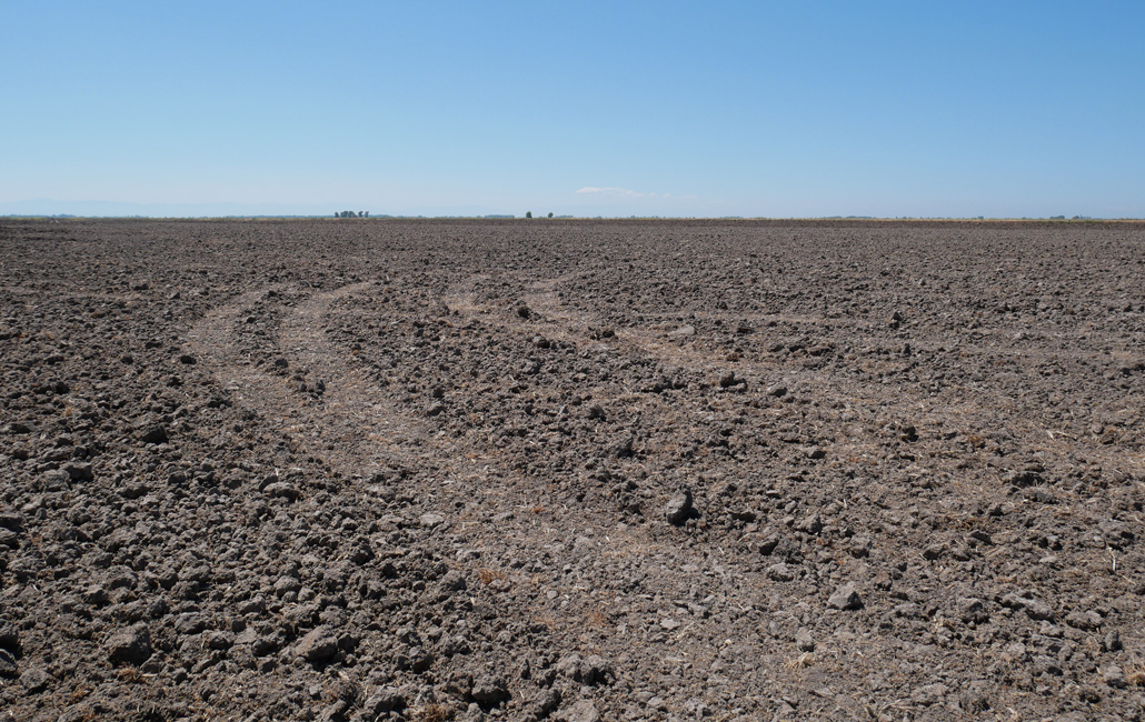 a barren muddy field
