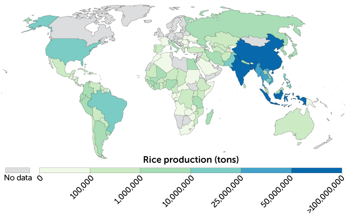 a map showing where rice is grown around the world