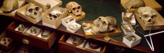 Skulls in boxes