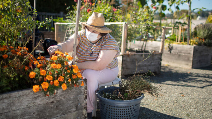 woman wearing face mask and hat tending to flowers in garden