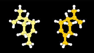 illustration of the molecular structures of two mirror versions of limonene