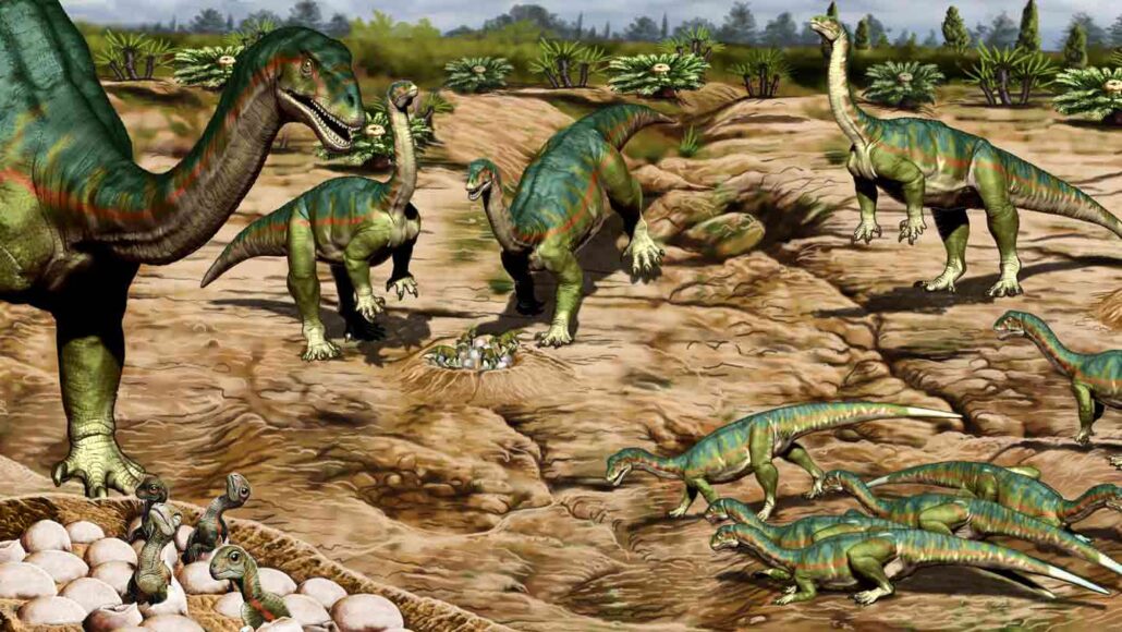 Some dinosaurs may have lived in herds 193 million years ago | Science News