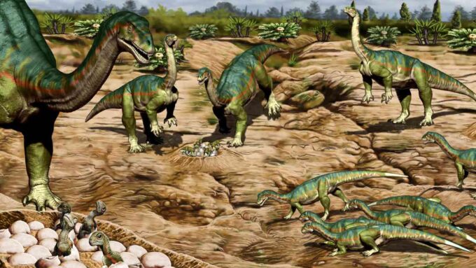 illustration of nine dinosaurs of differing ages