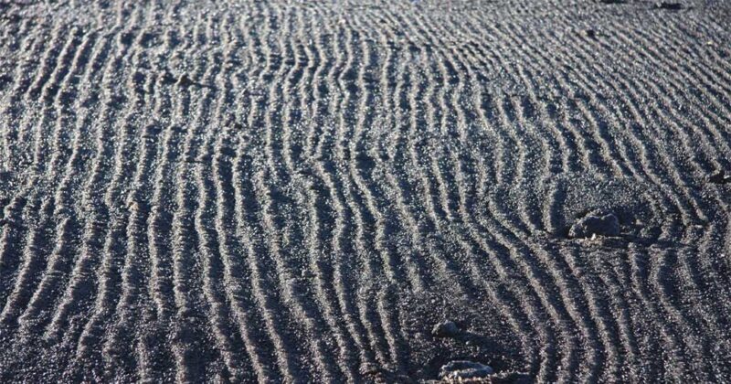 zebra stripe landscape pattern