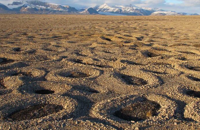 circles etched in the soil