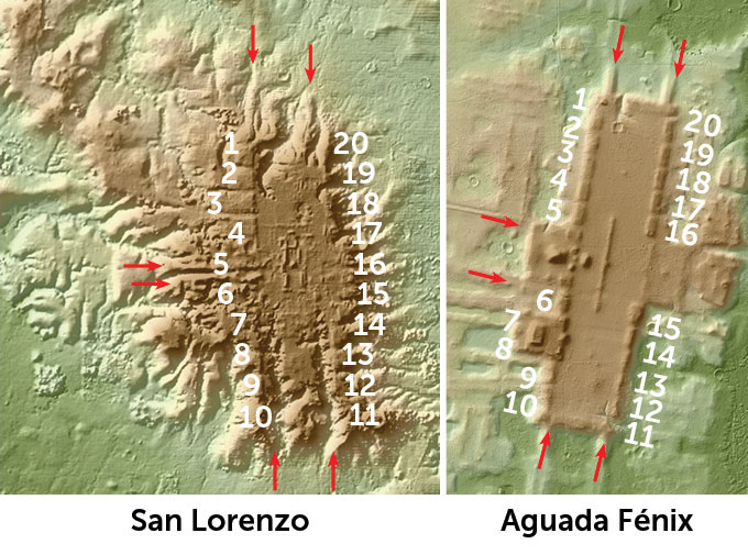aerial map comparing Olmec site at San Lorenzo and Aguada Fénix, with arrows denoting avenues that led into ceremonial plazas. The sites share a similar rectangular plaza