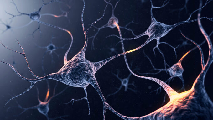 an illustration of connectiosn between neurons