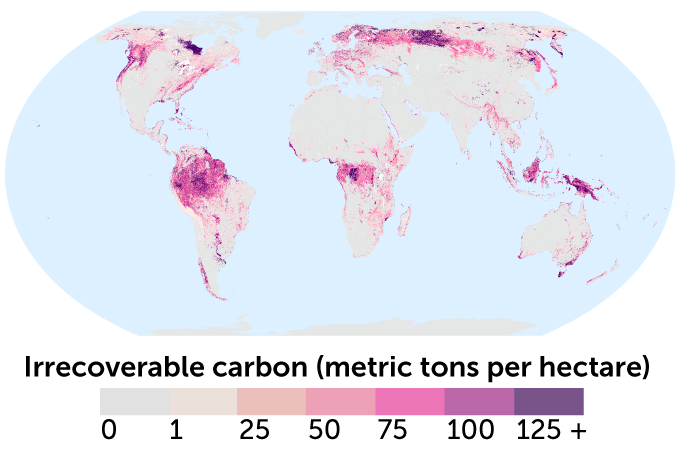 global map of irrecoverable carbon stores