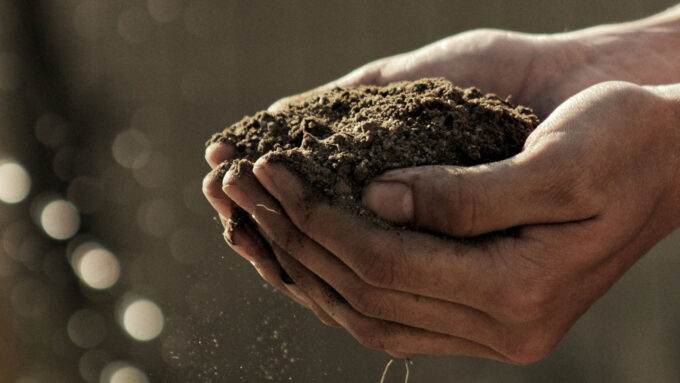 image of hands holding a pile of soil