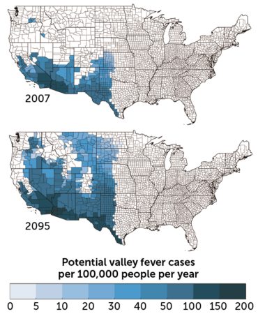 United States map of valley fever cases per 100,000 people in 2007 where higher case numbers are shown in increasingly dark shades of blue next to a map of projected case numbers in 2095