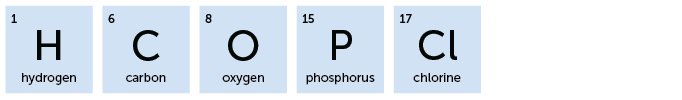 1, H, Hydrogen; 6, C, Carbon; 8, O, Oxygen; 15, P, Phosphorus; 17, Cl, Chlorine