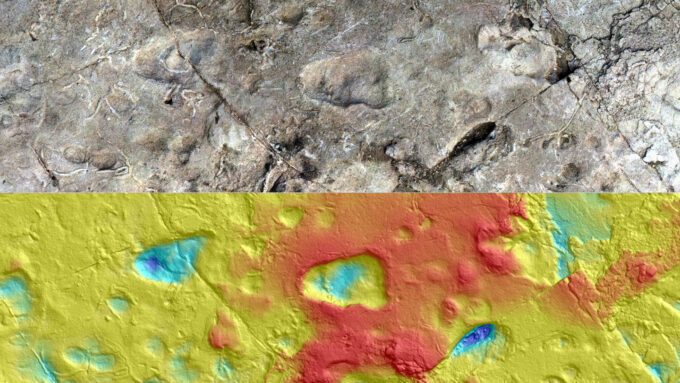 image of footprints from the Laetoli site compared to a 3-D contour map of the same area