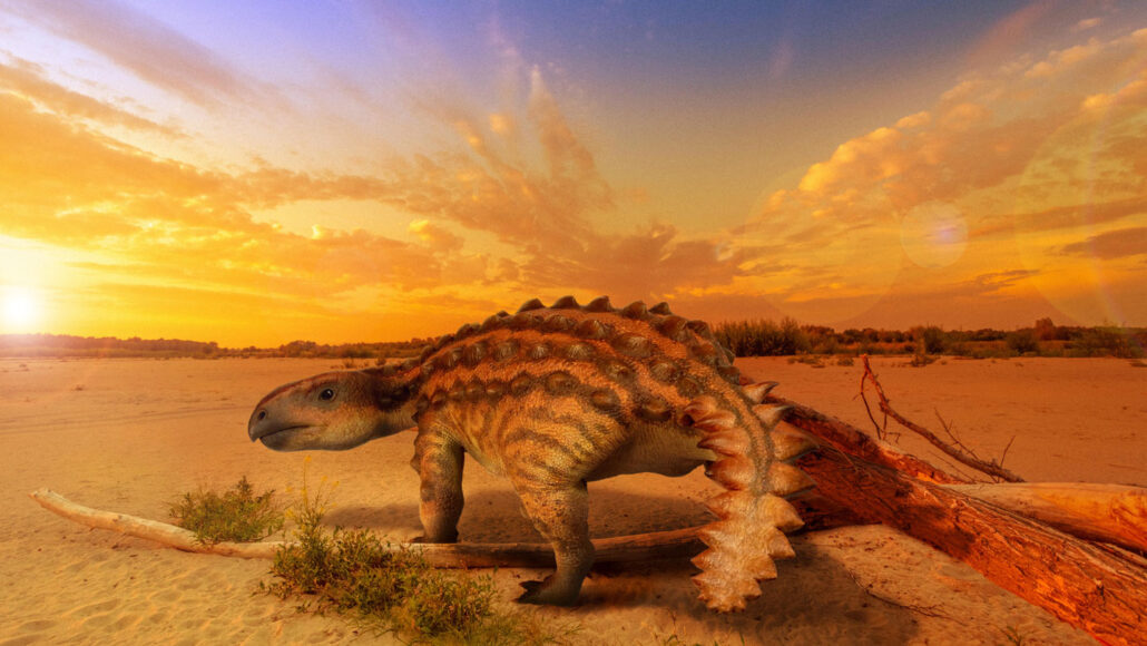 illustration of a new species of ankylosaur with a sunset in the background