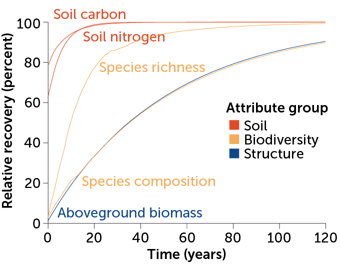 a chart showing relative recovery of various aspects of tropical forests over time. Soil carbon, soil nitrogen, species richness, species composition and aboveground biomass all have very rapid initial recovery rates and start to level off after a few decades