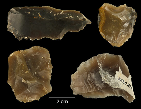 image of four stone flint artifacts