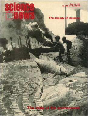 50 years ago, scientists were genetically modifying mosquitoes 121821 notebook 50ya