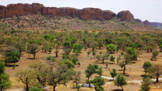 photo of the Sahel landscape in Mali