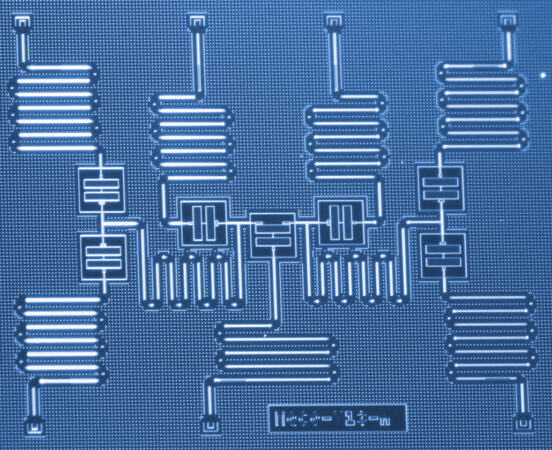 IBM qubit