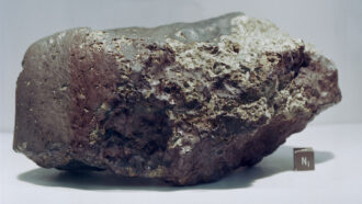 image of meteorite ALH 84001