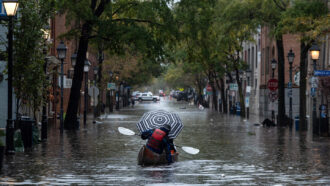 a kayaker paddles down a street as it rains in Old Town Alexandria, Virginia