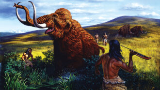 illustration of a clovis hunter aiming a spear at a mammoth