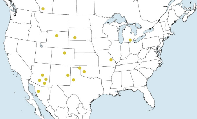 map of North America showing gold dots that indicate sites with clear evidence of humans hunting mammoths