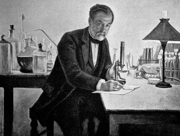 black and white illustration of Louis Pasteur working at a desk