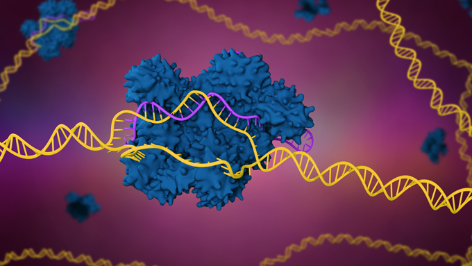 3-D illustration of CRISPR system