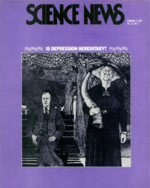 1982 cover