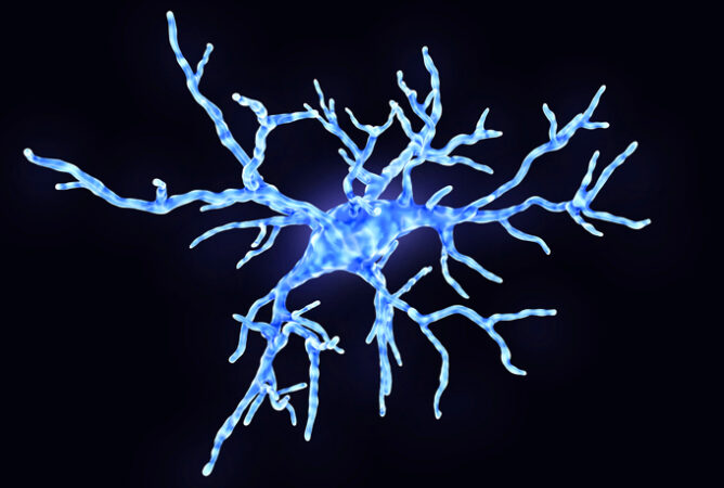 illustration of microglia