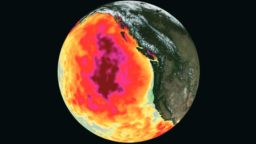 illustration of Earth showing the Blob in the eastern Pacific Ocean