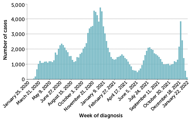 COVID-19 diagnoses among pregnant people, by week of diagnosis