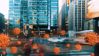 image of virus particles floating amid a city scene