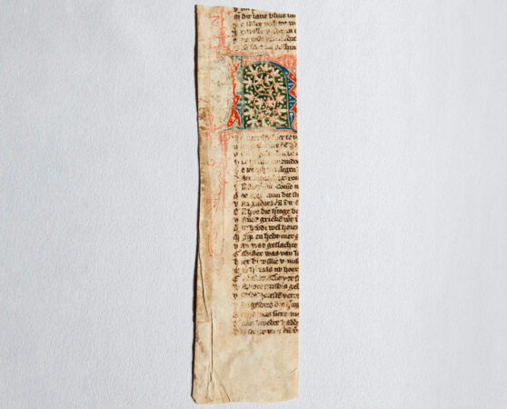 a fragment of an ancient Dutch manuscript, with a colorful image in the middle