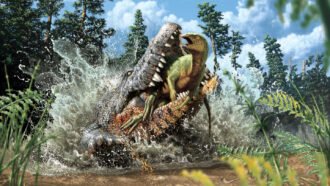illustration of a giant crocodile eating a dinosaur