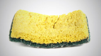 a dirty kitchen sponge on a white background