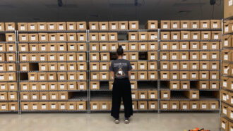 scientist facing a rack of boxes of skeletal remains