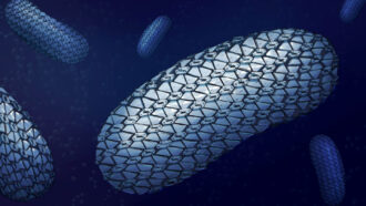 illustration of floating Clostridioides difficile bacteria with a chain mail–like outer layer amid a blue background