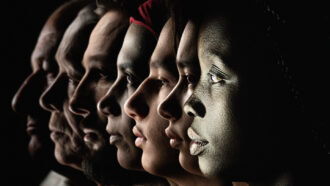 image of silhouettes of people from different genetic ancestries