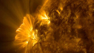 coronal loops, strands of plasma looping around the sun