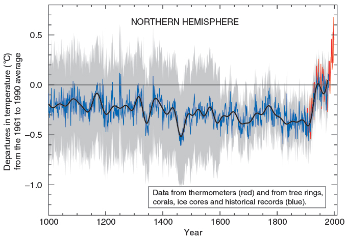 image of the "hockey stick" graph showing the increase in temperature in the Northern Hemisphere from 1961 to 1990