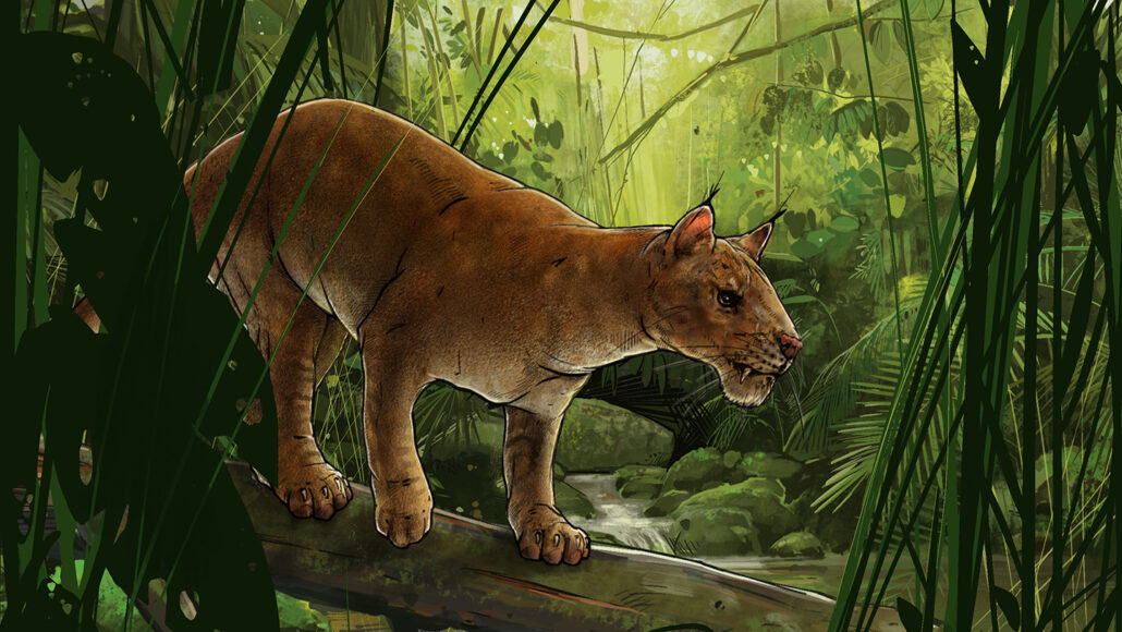 illustration of bobcat-like ancient animal prowling in a forest