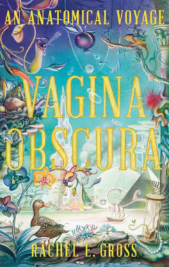 040922 reviews vagina cover