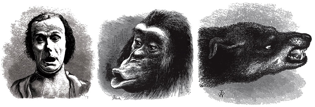 side-by-side black and white illustrations of a terrified human, a sulking chimpanzee and a hostile dog